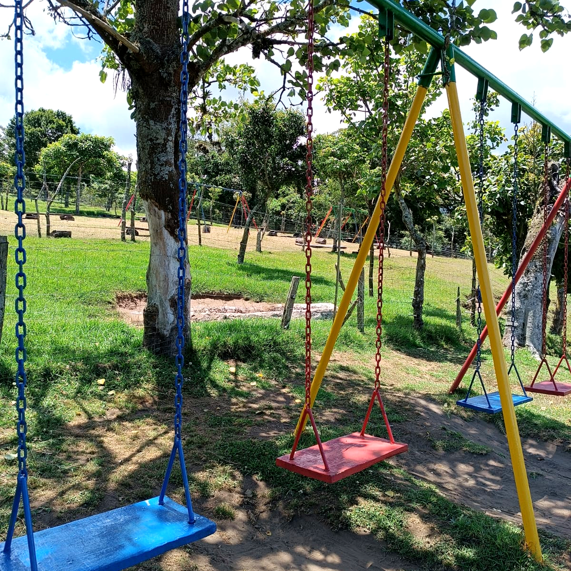A playground scene featuring colorful swings in blue, red, and yellow, hanging from a metal frame.