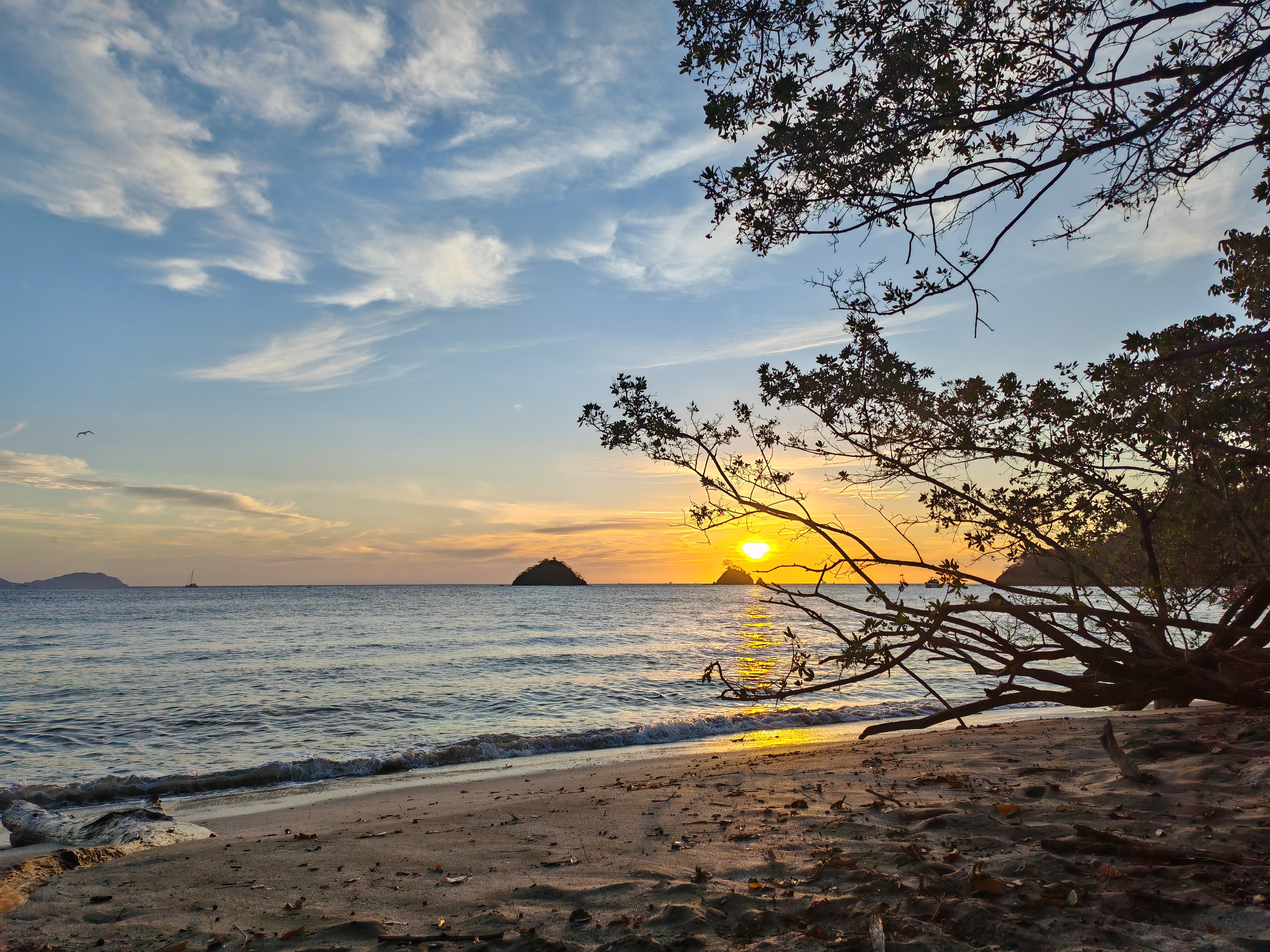 A calm beach at sunset framed by dark tree branches in the foreground.