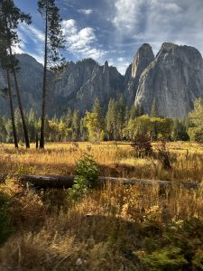A scenic view of a mountainous landscape featuring tall, imposing granite cliffs in the background, surrounded by evergreen trees and a foreground of golden grass. The sky is partly cloudy with a blend of blue and white tones, creating a serene atmosphere. A fallen log lies on the ground, adding to the natural setting.
