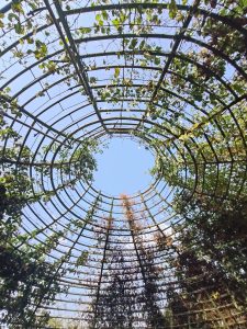 Overhead view of a circular garden trellis covered with climbing plants and vines, forming a tunnel-like structure.
