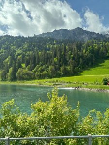 This image shows a vibrant natural landscape with a calm lake in the foreground, surrounded by lush green vegetation. In the background, a dense forest covers the slopes of a mountain, creating a beautiful contrast between the water, the rich greenery, and the blue sky with white clouds.