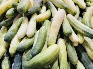 A pile of fresh cucumbers in varying shades of green, some speckled, some yellowed, filling the frame and conveying abundance and freshness.