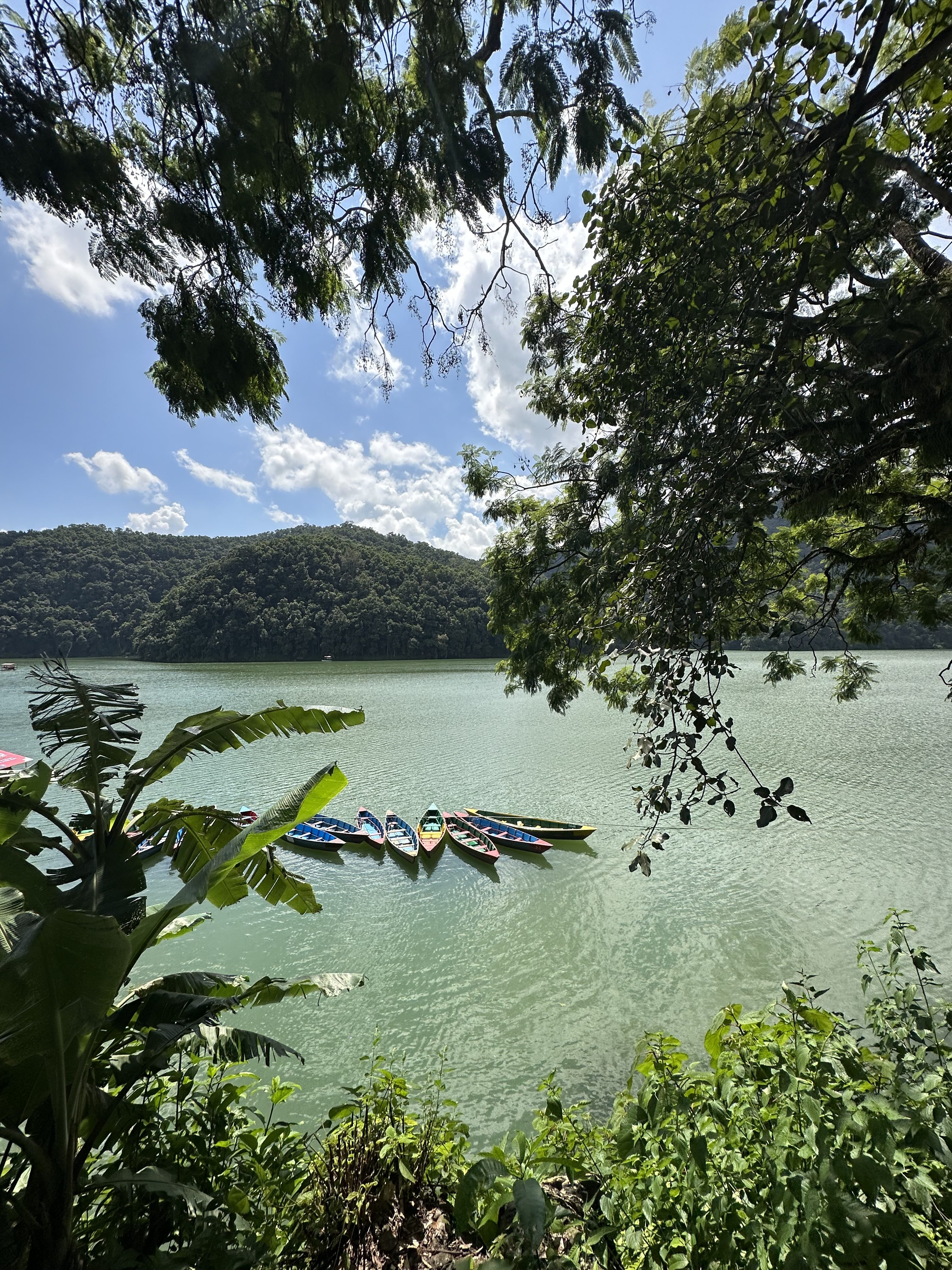 A serene landscape featuring a calm body of water surrounded by lush greenery. In the foreground, there are plants and leaves that frame the view, creating a natural border.