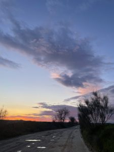 Dirt road at sunset with puddles reflecting the pink and orange sky. Silhouetted trees border the road, under a vast sky with dramatic clouds.
