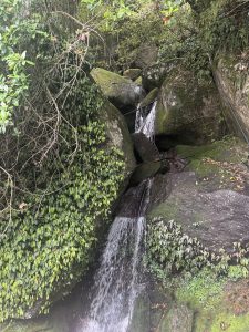 Small waterfall cascading over moss-covered rocks, surrounded by lush greenery and vines. The scene conveys a serene, natural ambiance.