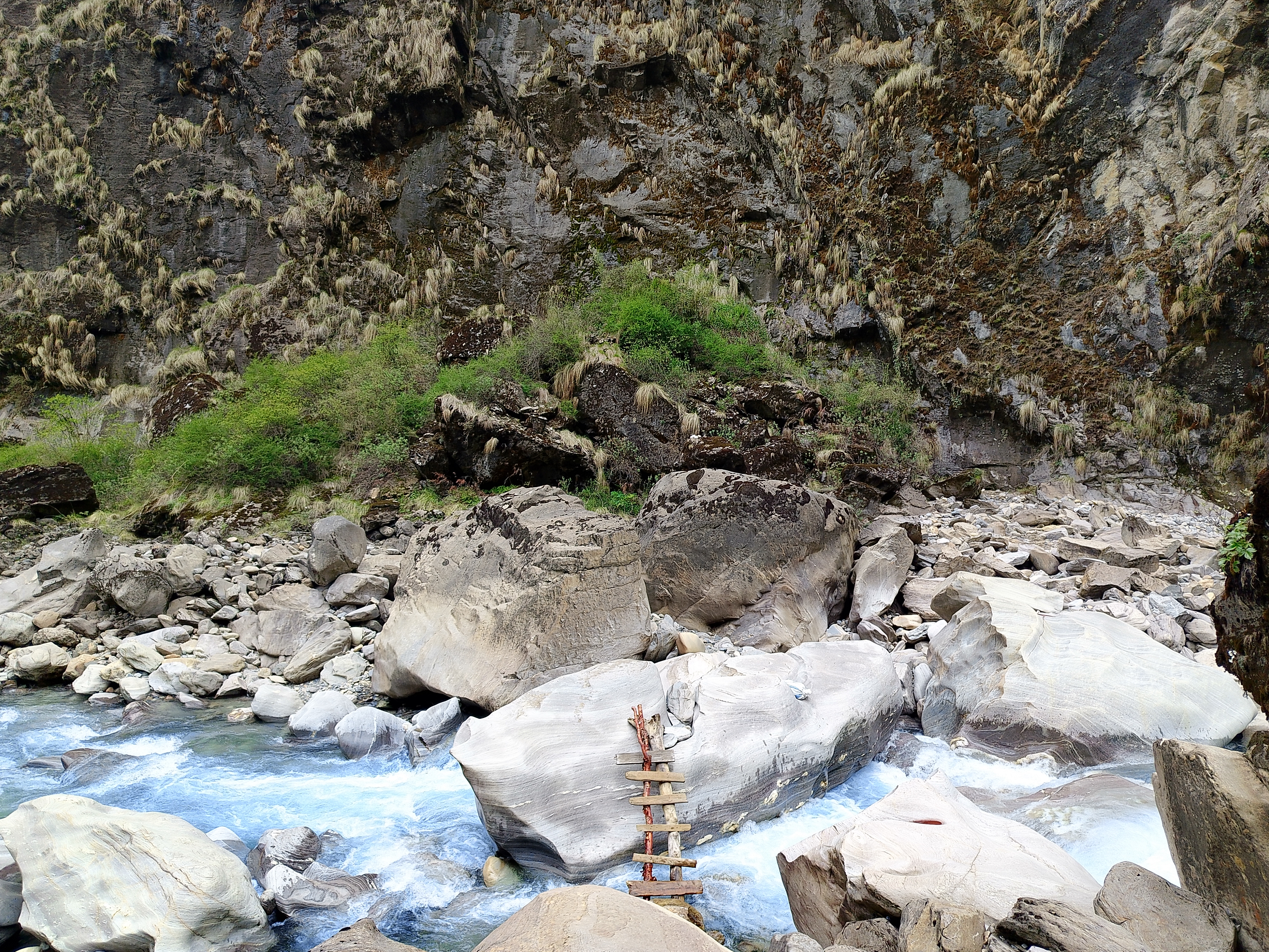 A rugged mountainside with a rocky landscape features a small wooden ladder next to a lively stream. Green shrubs add a touch of life amid gray rocks.