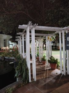 An elegant white walkway illuminated at night guides the eye through plants and shadows, creating a peaceful and welcoming atmosphere in the garden.