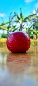 A shiny, red apple sits on a smooth, reflective surface, casting a soft shadow. The apple has a slightly dimpled texture and a small stem at the top.