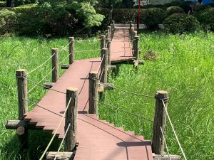 The footbridge over the pond at Mobara Park.
