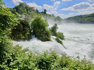 Fresh green plants surround the powerful waterfall as mist rises into the air. A historic building and a Swiss flag are visible above this scenic spot near the Rhine Falls in Switzerland.