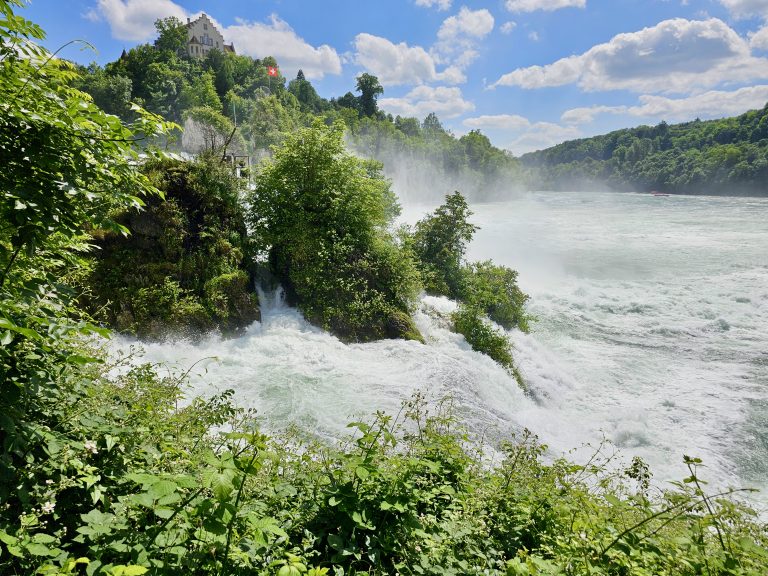 Fresh green plants surround the powerful waterfall as mist rises into the air. A historic building and a Swiss flag are visible above this scenic spot near the Rhine Falls in Switzerland.