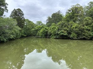 A peaceful view of Harada Lake surrounded by green trees and calm water under a cloudy sky at Tomita Satomura Park.