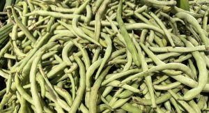 A large pile of fresh green beans fills the frame, showing their long, slender shape and light green color under natural light.