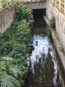 A small canal surrounded by greenery reflects the sky in its calm water, blending urban and natural elements.