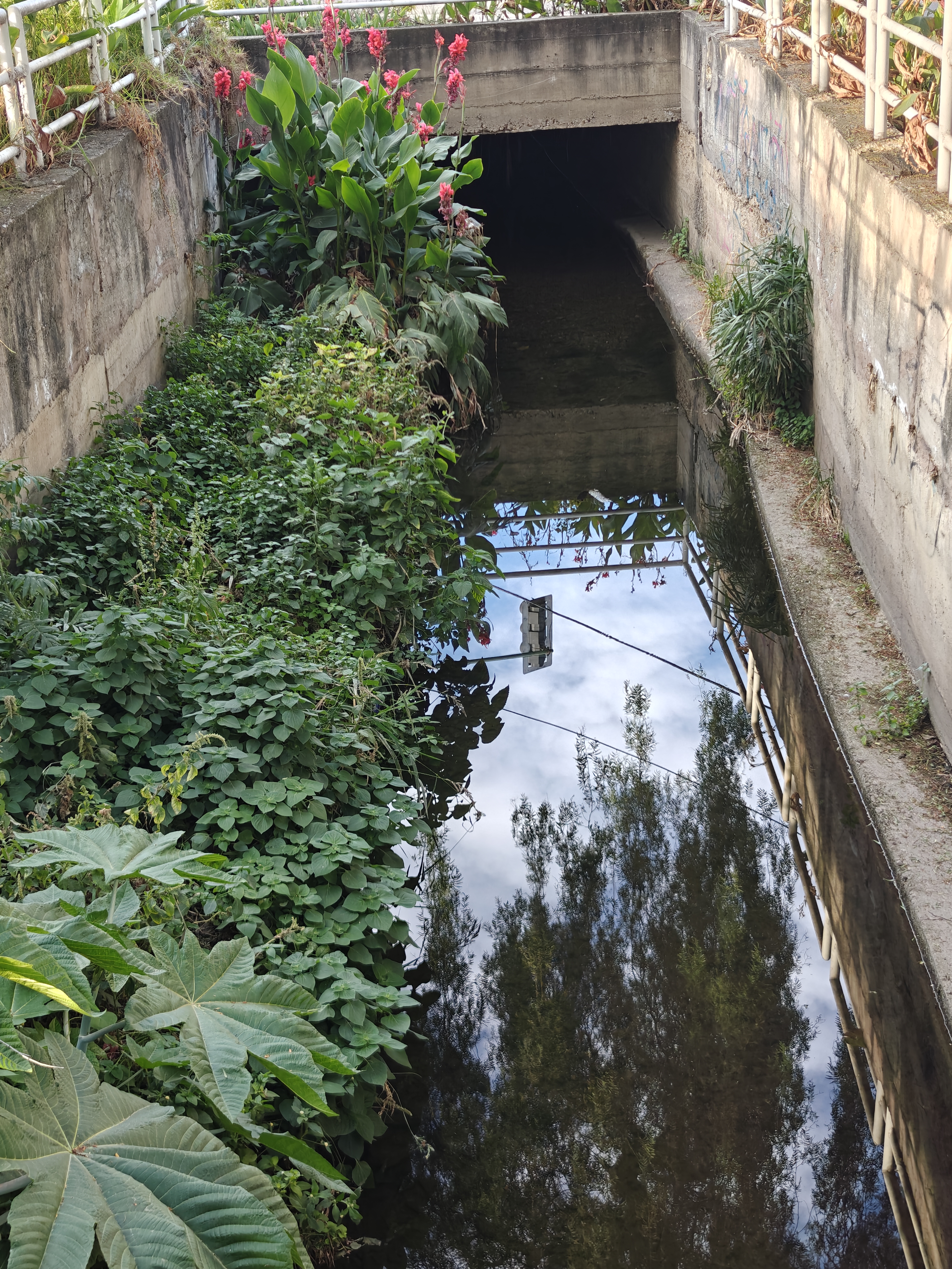 A small canal surrounded by greenery reflects the sky in its calm water, blending urban and natural elements.