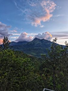 Low mountains on the horizon with pink puffy clouds above, lit by a low sun off screen. In the foreground a forest.