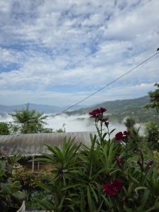 
A lovely morning view captured from my home.