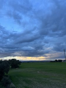 A wide landscape view under a dramatic sky filled with various shades of blue and gray clouds. The horizon features a soft, warm glow from the setting sun, casting light onto the distant hills. In the foreground, lush green fields stretch out, showcasing rows of freshly grown grass. 