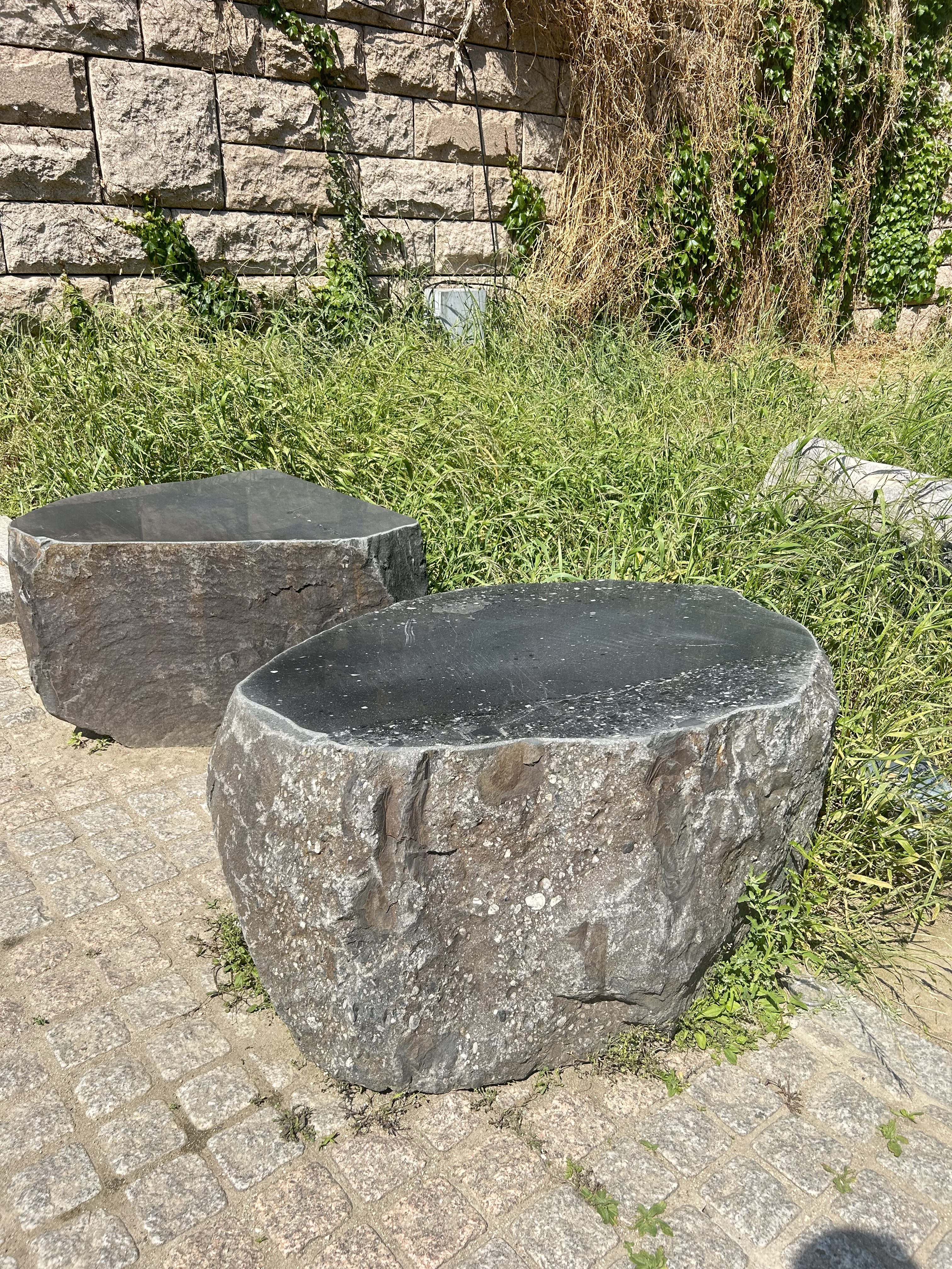 Two large, irregularly shaped stones sit on a cobblestone path. The stones have a rough texture with dark gray and black surfaces, some parts appearing polished.