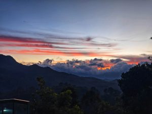 A peaceful mountain view at sunset with orange and pink skies, glowing clouds, and silhouetted trees in the foreground.