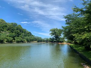 A calm pond reflecting the blue sky and scattered clouds at Mobara Park.