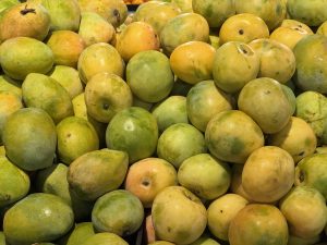 A pile of ripe mangoes in shades of green and yellow, tightly packed together.