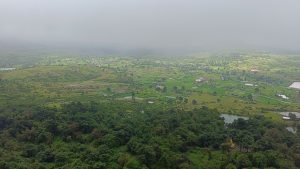 A panoramic view of lush green fields and agricultural land, interspersed with small houses and trees, under a misty cloudy sky. 
