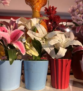 Three potted lilies, pink and white, in blue and red pots.