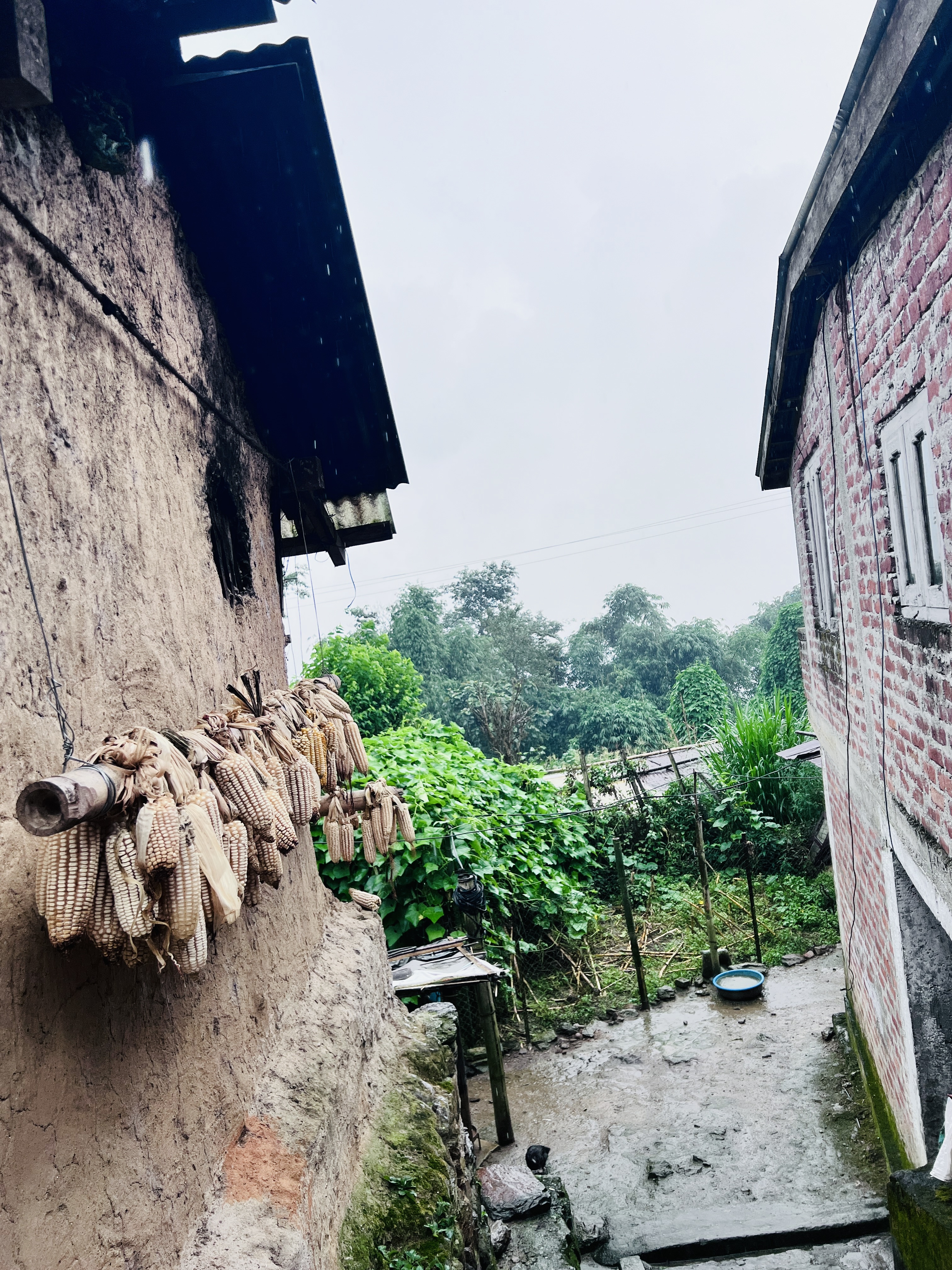 Two rustic walls form an alley; one wall has corn cobs hanging from it. The view is lush and green, while the overcast sky creates a serene rural atmosphere.