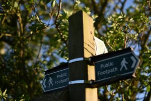 A public footpath sign in the UK, surrounded by hedgerows.