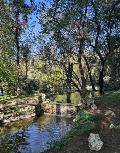 A gentle stream flows through a lush landscape with clear water, smooth rocks, and a small waterfall, reflecting greenery and blue sky.