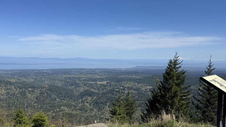 Scenic mountain overlook on the way to Hurricane Hill with dense evergreen forests stretching toward the coastline under a clear blue sky.