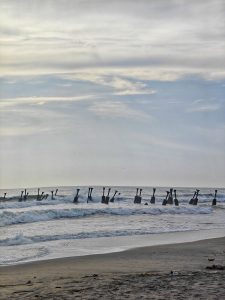 A serene beach scene featuring gentle waves lapping at the shore beneath a cloudy sky.