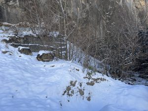 Snow-covered landscape with bare trees and rocky stone walls. 