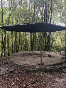 A rustic shelter with a corrugated metal roof and circular concrete base stands in a dense forest.
