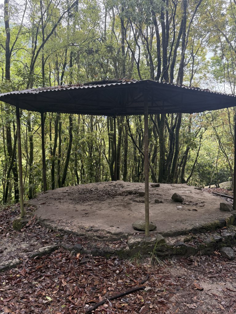 A rustic shelter with a corrugated metal roof and circular concrete base stands in a dense forest.