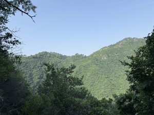 Lush green hills under a clear blue sky, framed by dense foliage in the foreground.