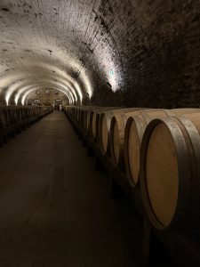 The image depicts a dimly lit wine cellar with an arched brick ceiling. Long rows of wooden barrels are lined up on both sides of a narrow path, creating a sense of depth and symmetry. The barrels are made of light-colored wood with dark metal bands, giving them a polished look. 