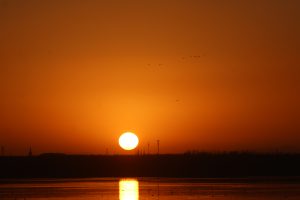 A bright, round sun sets over a dark horizon, reflecting its golden light on the lake below. A few birds fly in the orange sky.
