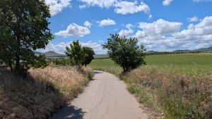 A narrow country road curves through a lush, green landscape under a vibrant blue sky with fluffy clouds. 