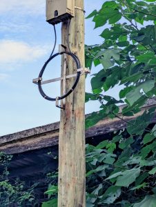 A wooden utility pole with a circular cable holder, surrounded by lush green leaves, against a blue sky.