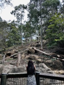 A picture of a girl in a reserve looking after the sceneric view of trees
