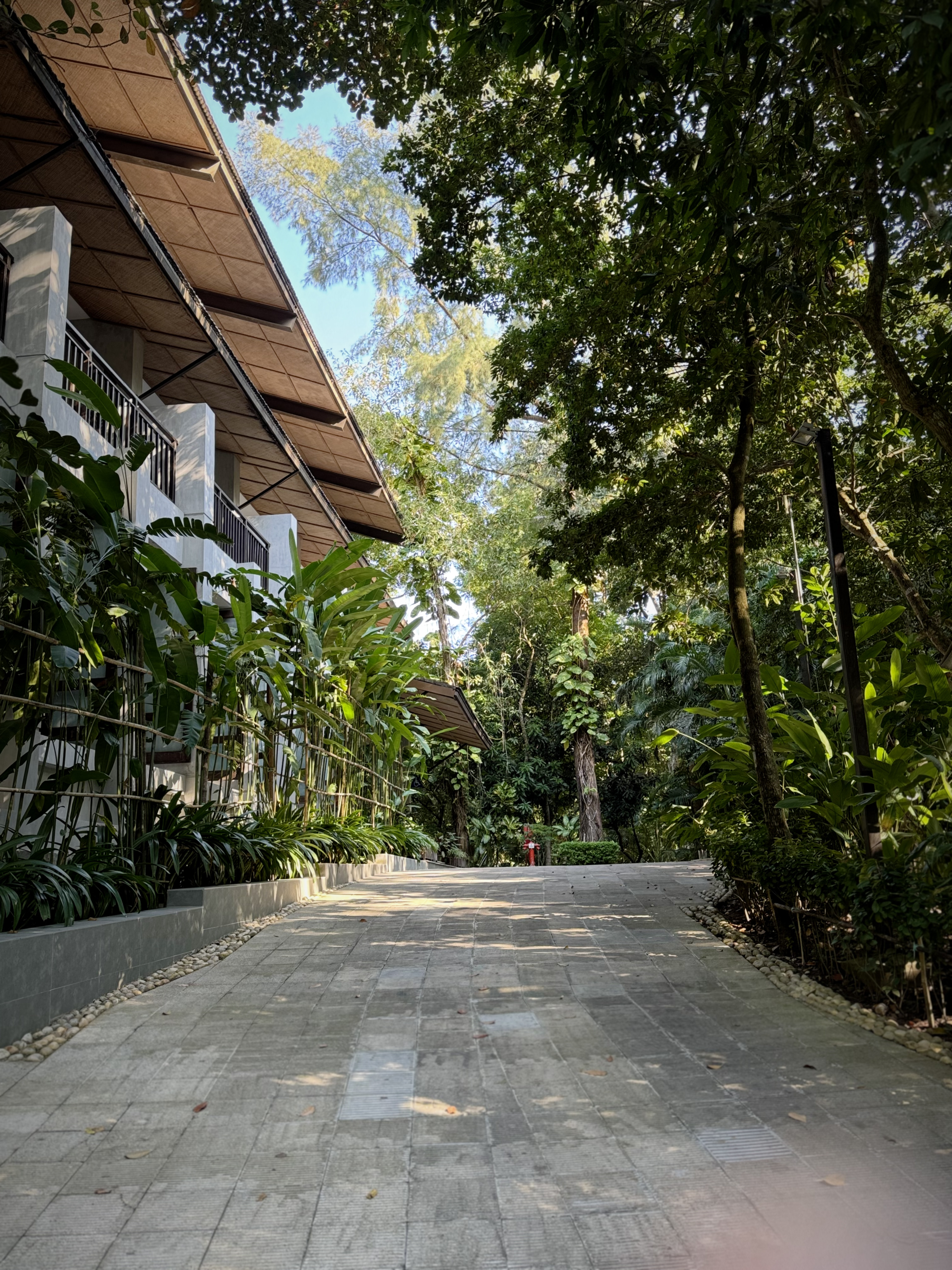 A low-angle view of a modern eco-resort building with dense tropical plants and lush green trees. Sunlight creates beautiful dappled shadows on the stone paved pathway leading ahead.