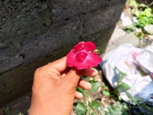 5226a1295b
