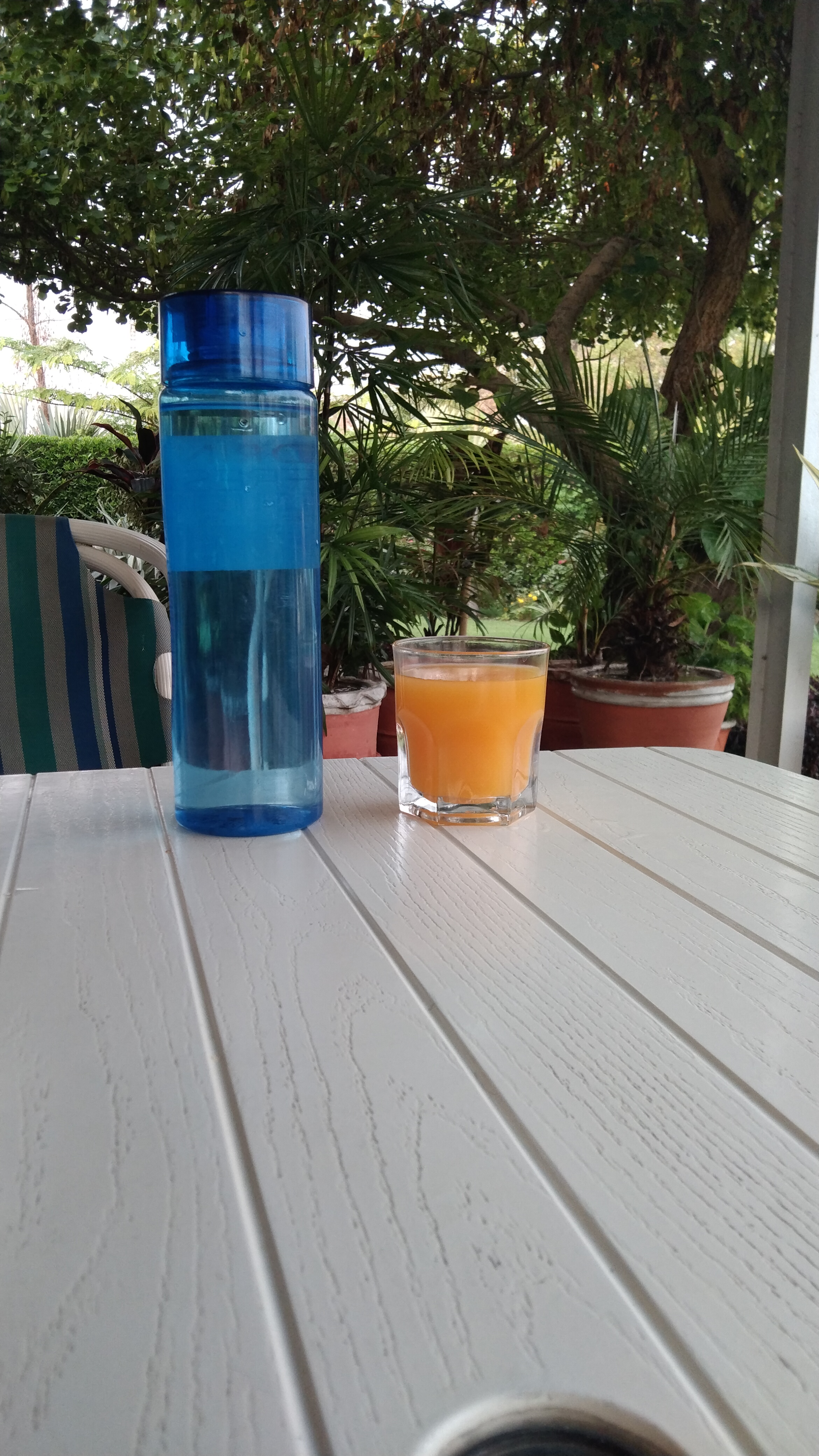 A blue water bottle and a glass of orange juice rest on a white wooden table, with lush green plants in the background.