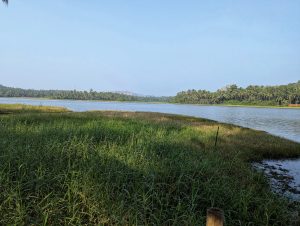 
A serene landscape featuring a calm river bordered by lush greenery.