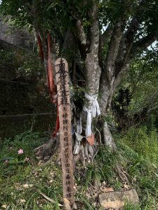 A tree with a wooden sign in Japanese stands under a cloudy sky, with red and white cloths tied to the trunk, creating a peaceful atmosphere.