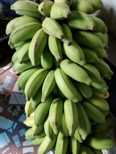 Large bunch of unripe green bananas stacked together.