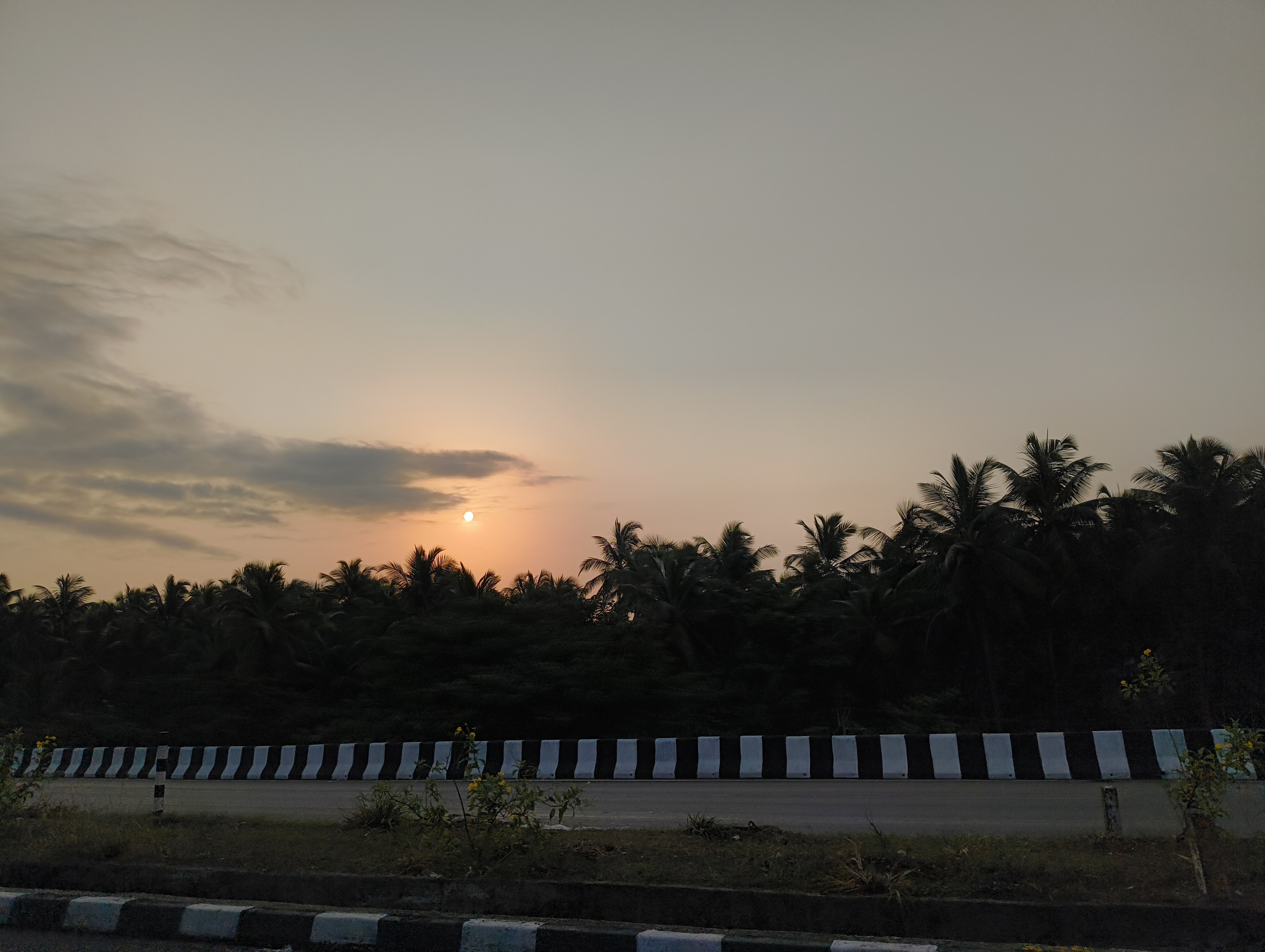 A serene dusk scene showing a curving road with a striped barrier, framed by sparse green shrubs and tall palm trees against a soft, setting sun on the horizon.