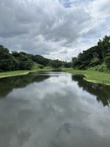 A calm, still lake surrounded by rolling hills covered in dense, lush greenery.
